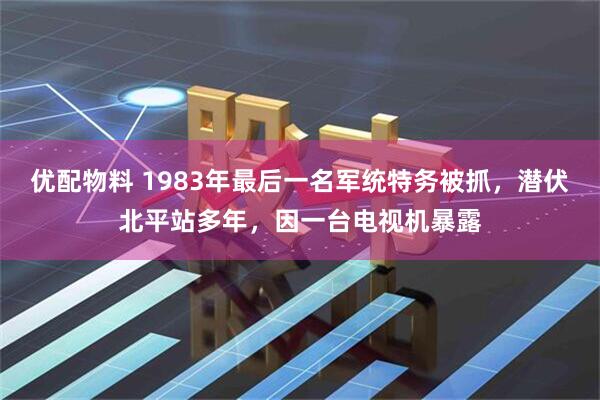 优配物料 1983年最后一名军统特务被抓,潜伏北平站多年,因一台电视机暴露