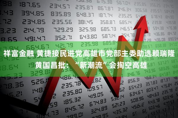 祥富金融 黄捷接民进党高雄市党部主委助选赖瑞隆  黄国昌批：“新潮流”会掏空高雄